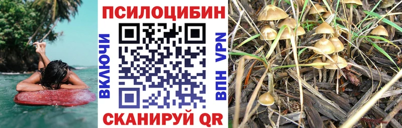 наркота  Пролетарск  Галлюциногенные грибы Psilocybe 